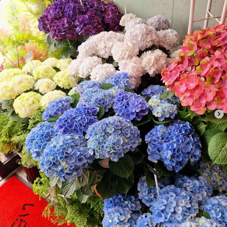 img20260621180636889105.png